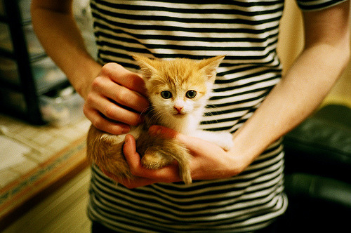 开云体育官方网站-库里助阵上海队，节奏掌控尼克斯，末节接管定胜局