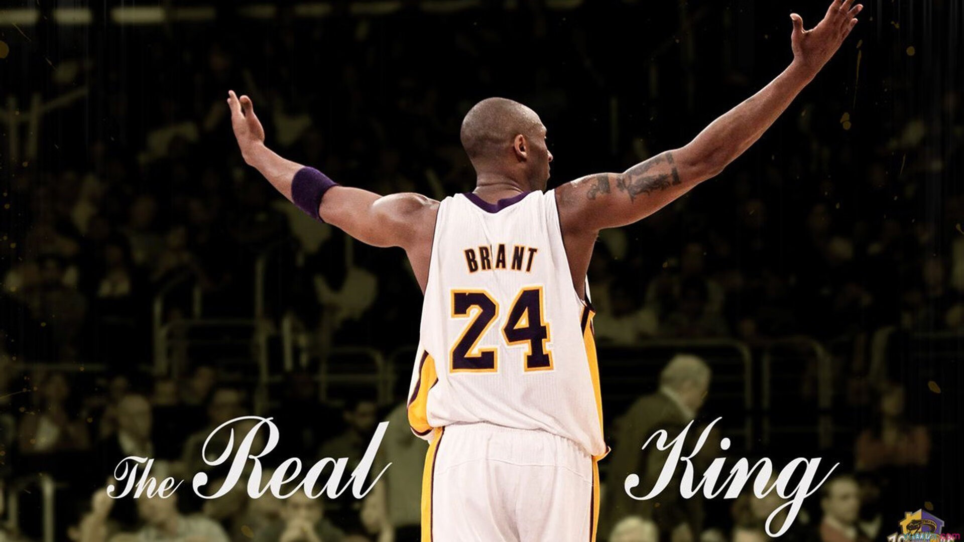 悬崖之上的烈焰反击,爱德华兹48分救主,湖人火力压制辽宁队